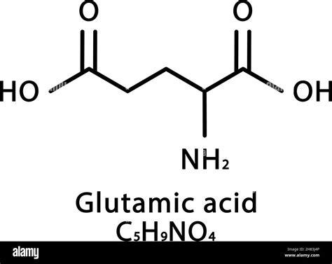 Glutamic acid molecular structure. Glutamate skeletal chemical formula. Chemical molecular ...