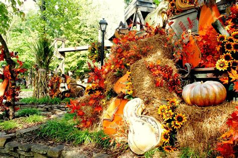 5 Reasons to Visit Dollywood in the Fall