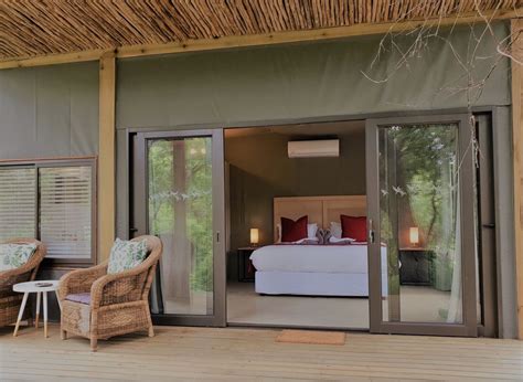 19 Kruger National Park Safari Packages and Lodges