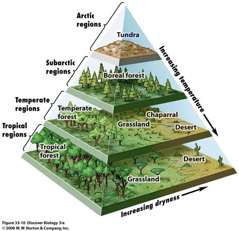 BIO 7: April 30-May 2 Preview | Biomes, Fantasy map making, Worldbuilding