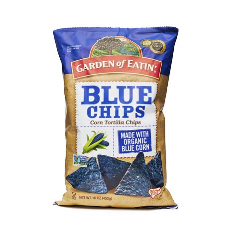 16 oz Blue Corn Tortilla Chips by Garden of Eatin' - Thrive Market