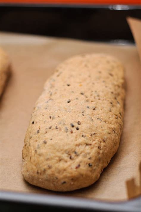 Loaf of sweet bread stock photo. Image of dark, bread - 23131966