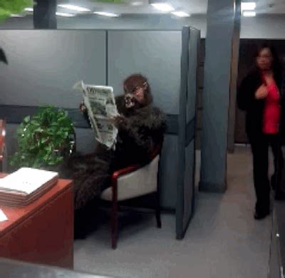 Funny office prank