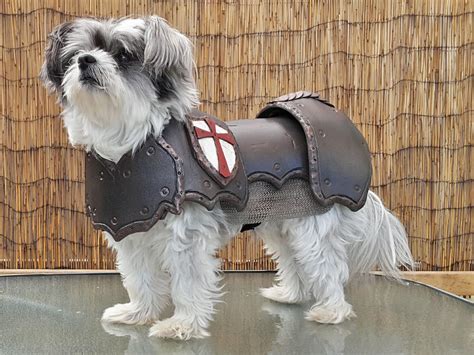 Cosplay DIY Prop Basic Dog Armor / Armour Costume Pattern - Etsy | Dog armor, Diy props, Cosplay diy