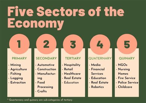 Primary Sector of the Economy: Definition and 15 Examples (2023)