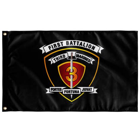 1st Battalion 3rd Marines Black Flag