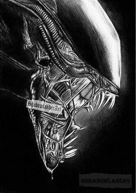 Alien xenomorph Drawing ART PRINT - Etsy