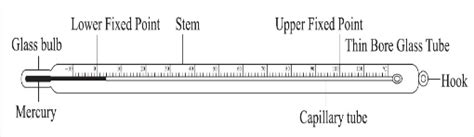 Lab Thermometer Drawing