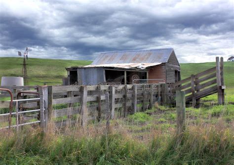 Old Rundown Shed and Cattle Yards Stock Photo - Image of green, property: 44406364