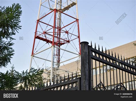 Tv Tower Antenna Tree Image & Photo (Free Trial) | Bigstock