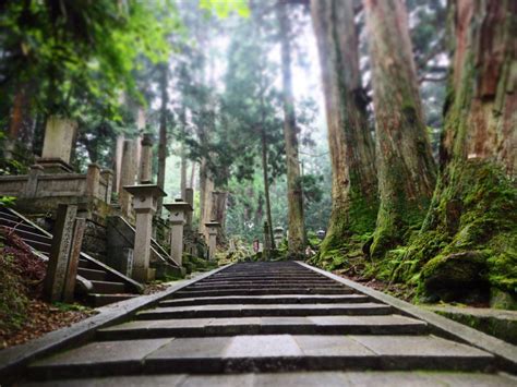 A stroll through Okunoin cemetery – rarelyaday