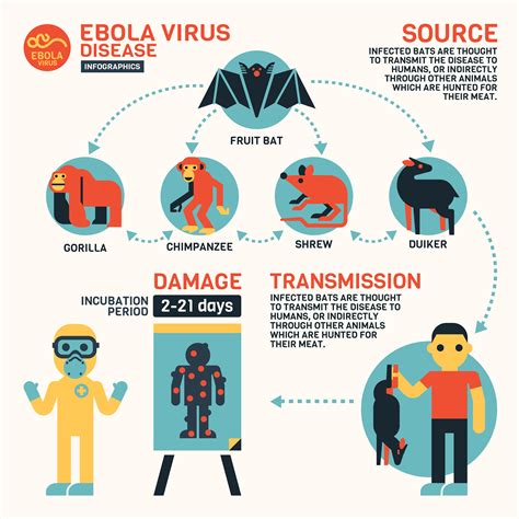 Ebola Disease Is A Rare But Deadly Disease | All Day Chemist