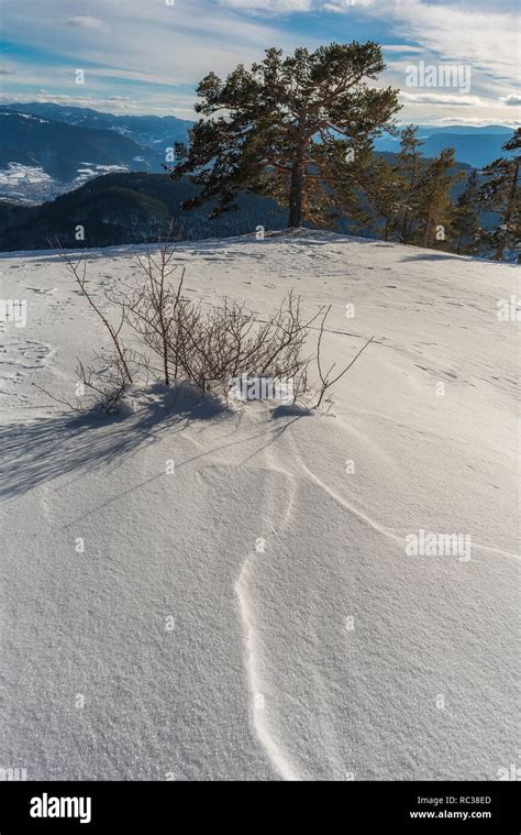 Rhodope mountains ski hi-res stock photography and images - Alamy