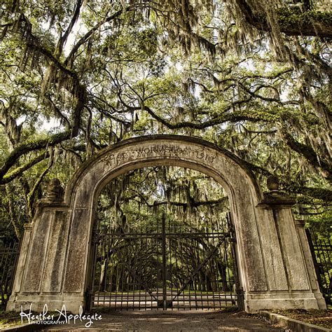 Wormsloe Historic Site - Tumblr Gallery