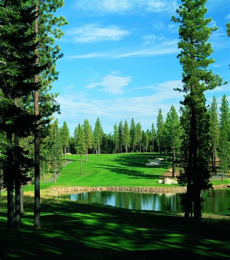 Coyote Moon Golf Course located in Truckee California is one of the areas newer golf courses ...