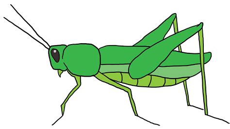 Cartoon Grasshoppers Pictures - ClipArt Best