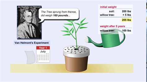 Photosynthesis and Van Helmont Experiment - Go IT