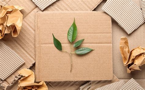 Sustainability Archives - The Packaging Company