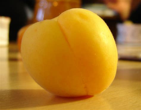 File:Apricot fruit.jpg - Wikimedia Commons