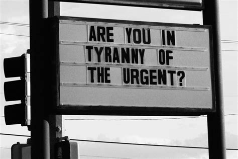 tyranny of the urgent : __NADINE FRACZKOWSKI