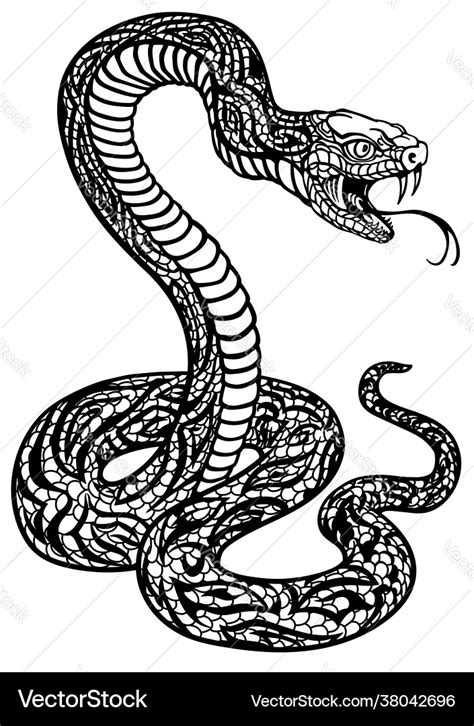 Stylized snake black and white Royalty Free Vector Image