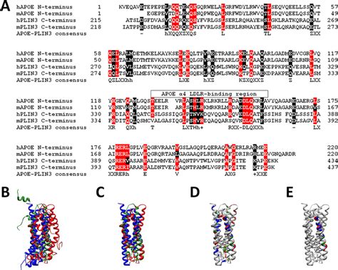 Sequence and structure similarity between apolipoprotein E and... | Download Scientific Diagram