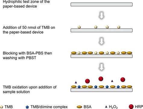 Schematic illustration of a colorimetric assay procedure involving the ...