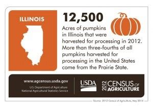 Interesting Illinois: 10 fun facts about the state | HuffPost