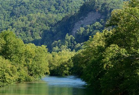 Insights - Protecting habitat along the Clinch River