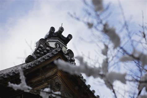 A beautiful snowy day at Nanzen-ji Temple in Kyoto, Japan Snowy Day, Kyoto Japan, Temple ...