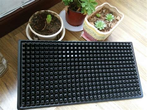 plastic seed tray