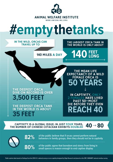 #EmptytheTanks SeaWorld | Marine biology, Orca, Animal welfare institute