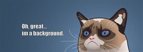 Grumpy Cat Oh Great I am a Background Facebook cover | Background ...