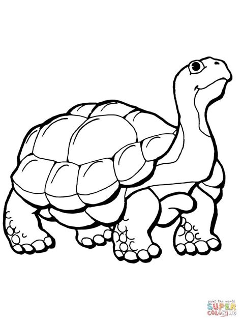 Tortoise coloring page | Free Printable Coloring Pages | Turtle coloring pages, Animal coloring ...