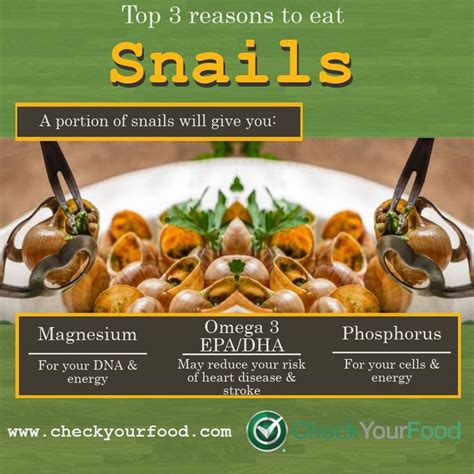 The health benefits of snails | Diet and nutrition, Nutrition, Health benefits