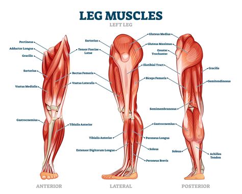 Walking After Stroke: 7 Exercise to Improve Strength and Balance