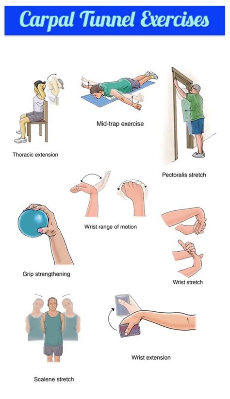 Carpal Tunnel Stretches | Carpal tunnel exercises, Carpal tunnel, Exercise