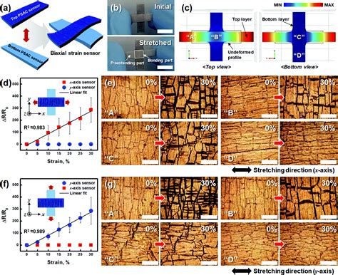 Enhancement of linearity range of stretchable ultrasensitive metal ...