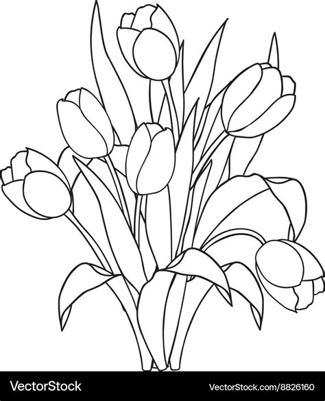 Tulip Flower Clip Art Black And White