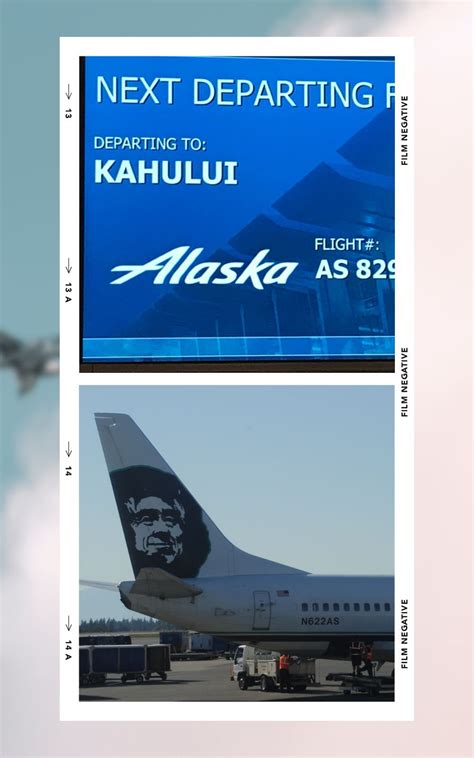 Is Alaska Airlines Good or Bad? [20 Years, 7 Pros, 3 Cons]