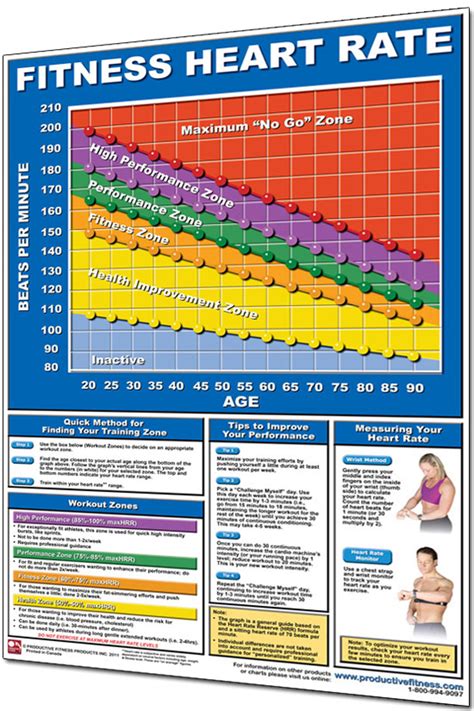 Productive Fitness 24” x 36” Laminated Fitness Poster / Wall Chart - Heart Rate Guidelines (CHR)