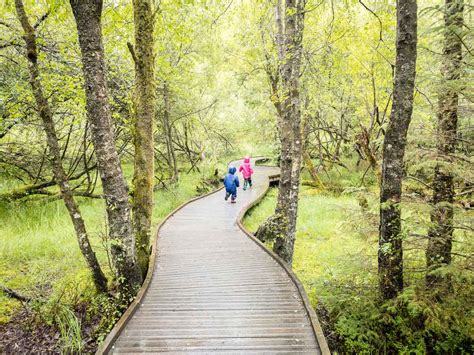 5 Easy Walks in Loch Lomond and Trossachs National Park - Family Can Travel