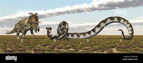 Dinosaur Albertaceratops and giant snake Titanoboa Stock Photo - Alamy