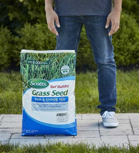 Best Grass seed for Clay soil - Pro Garden Man - The Gardener's Guide to a Lush Lawn