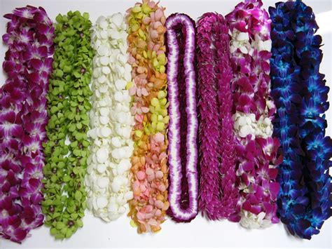 Orchid Leis from Best Flower Leis: Graduation Lei Season starts soon!