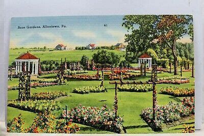 Pennsylvania PA Allentown Rose Gardens Postcard Old Vintage Card View Standard in 2020 ...