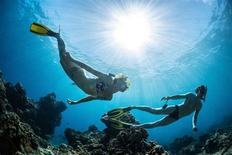 Snorkeling, Skin Diving, And Freediving - What's The Difference ...