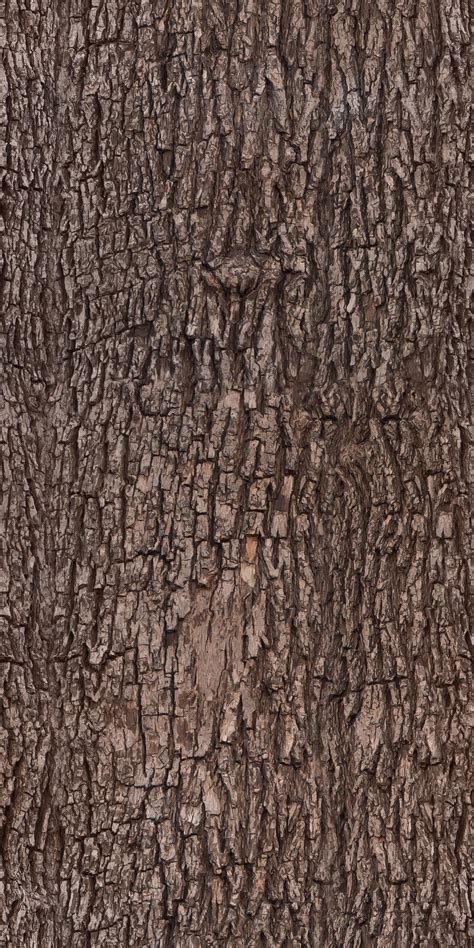 Tree bark - texture, pattern | Tree bark texture, Tree textures, Texture photography