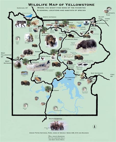 yellowstone map | Wildlife Map of Yellowstone – the yellowstone daily ...