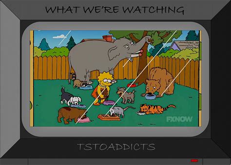 Where Did THAT Come From – Springfield Animal ShelterThe Simpsons Tapped Out AddictsAll Things ...